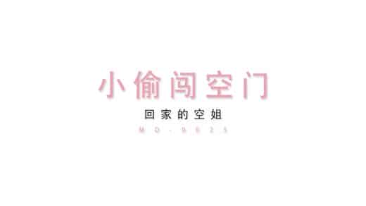 国产AV剧情巨作(25)国产剧情AV淫贼欲盗窃巧遇空姐在家自慰硬上草到高潮720P高清原版[145.69M]插图
