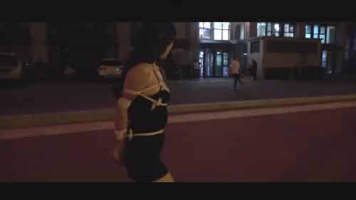 [视频]女孩被捆绑双手夜晚外出游街，大制作国产，普通话[1V]插图